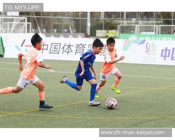 提升足球标准质量助力青少年运动发展与竞技水平提升的路径探讨